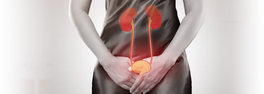 Urinary Tract Infection Photo